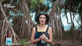 Penyanyi Andien Aisyah Mengunjungi Sentra Kelola Sampah di Banyuwangi