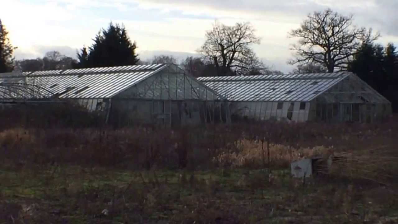 Chobham Park Farm site YouTube
