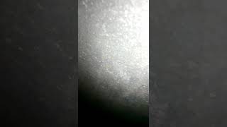 Call Me 9648973504 Girls Yeg 18 Se 42 Sal