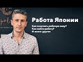 Работа в Японии и Рабочая виза! Все что нужно знать перед поездкой в Японию