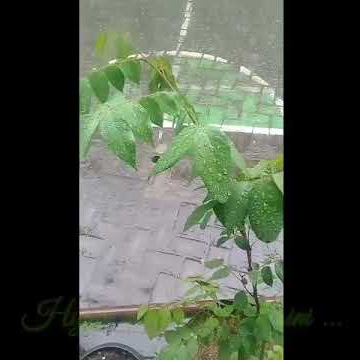 story wa 30 detik kanggo riko