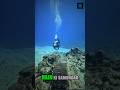 The Ocean's Floating Stone City: Nan Madol Secret #facts #sciencefacts #didyouknow #ocean #shorts