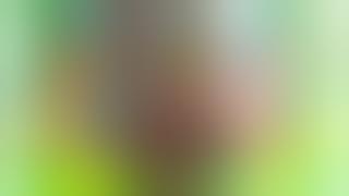 MIKU BRASILEÑA: EL FENÓMENO QUE CONQUISTÓ A LATINOAMÉRICA