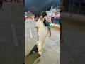 🙏♥️🧿 women's day 💝# motivation #trending #shortsfeed #shorts #women_respect_video