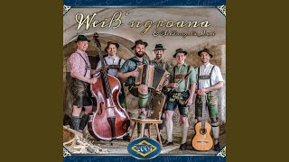 Download Lagu Buchberger Polka MP3 Download Lagu Buchberger Polka MP3