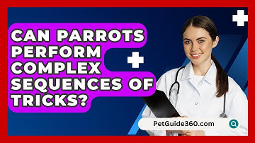 Can Parrots Perform Complex Sequences Of Tricks? - PetGuide360.com