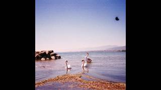 Coma Cinema - Running Wide Open