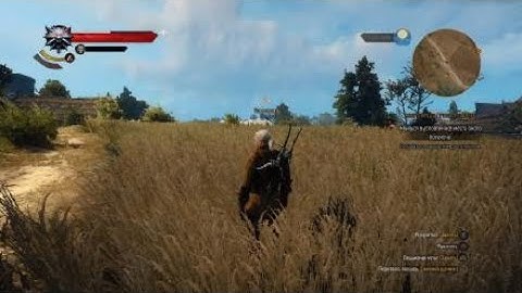 Fps drop the witcher 3 ( ps4 pro )