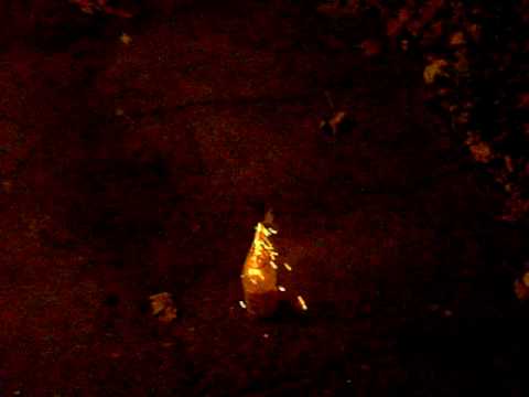 Howling wolf pack rocket from phantom fireworks - YouTube