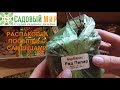 Садовый мир  Распаковка посылки с саженцами №1