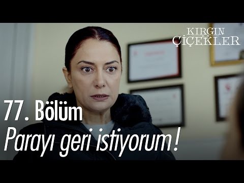 Parayı geri istiyorum! - Kırgın Çiçekler 77. Bölüm - atv