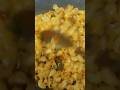 Yummy pasta ready in a jiffy / My Favourite Maggi Pasta Masala #shorts #youtubeshorts