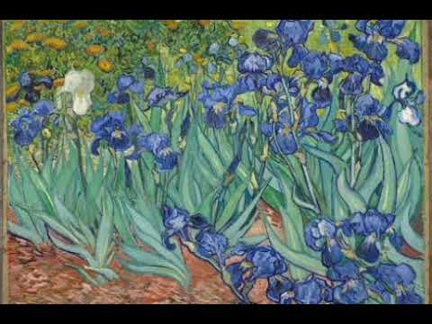 Franz Liszt - Consolation No. 3 (Daniel Barenboim)