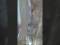 #reels #trending #viral