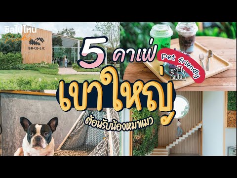 5 คาเฟ่เขาใหญ่ ต้อนรับน้องหมาแมว Pet Friendly