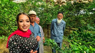 УЗБЕКИСТАН! Один день САДОВОДА! Мандарины и лимоны в ТЕПЛИЦЕ!  Сельская ЖИЗНЬ! ЦИТРУСОВЫЙ БИЗНЕС