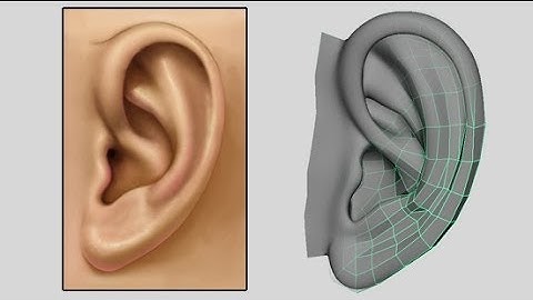 How to Model an Ear - Low Poly to Intermediate 3D Modeling Tutorial - Box Modeling