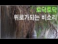 토닥토닥 - 3시간 빗소리 비오는소리 -위로가되는 비소리