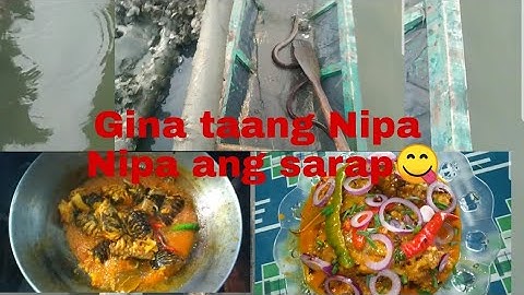 Ginataang  Nipa Nipa  nang probinsya ang sarap😋😋😋