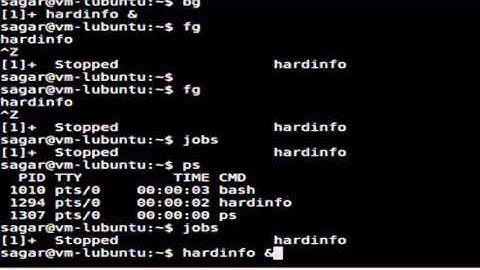 Difference between process and job in Linux