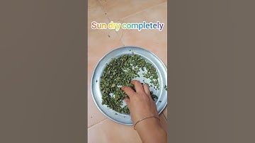 This powder improve your immunity // easy  and cheap