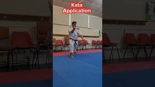 Jion, which Kata next? #Karate #shotokan #kata #martialarts #karatecombat #kumite #dojo #training