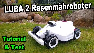 Unglaublich gut - Das kann der Luba 2 Rasenmähroboters ohne Begrenzungskabel! / Test & Einrichtung