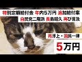 【年内 定額給付金 追加5万円 国民一律給付案 死んでない説】自民党 長島氏（二階派）、菅義偉首相への提言「来年には定期的に給付金」疲弊した家計への生活支援策