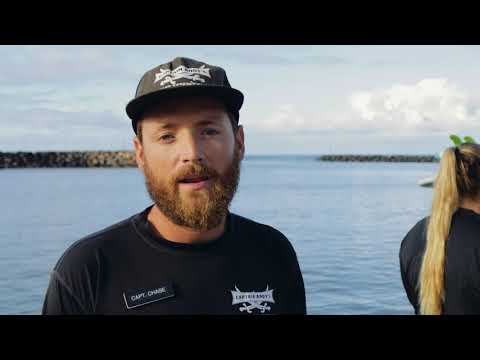 Video: Ekspedisi Rakit Zodiak Kapten di Kauai, Hawaii