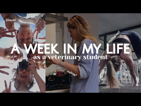 a week in my life as a vet student | Vet School Vlog