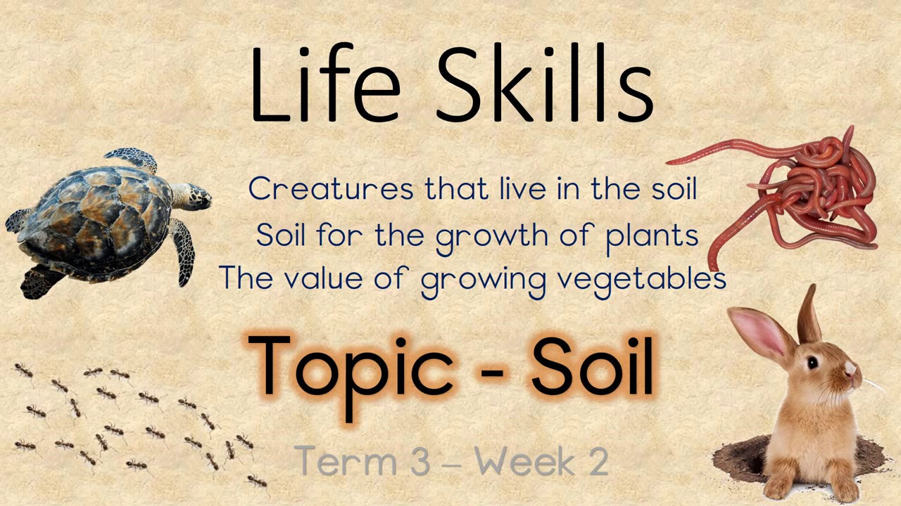 What Animals Live In Soil - Micro B Life