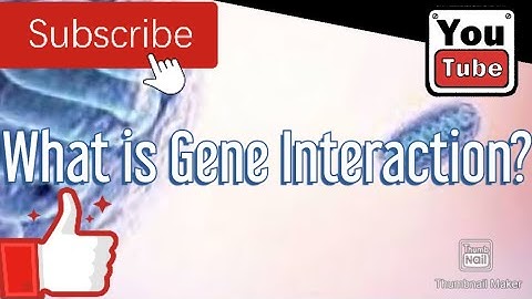 Gene Interaction (Genetics)