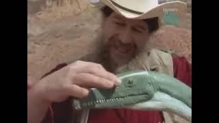 PaleoWorld S4E06   Dawn of the Dinosaurs