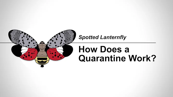 SLF States: 2-3 How Does a Quarantine Work?