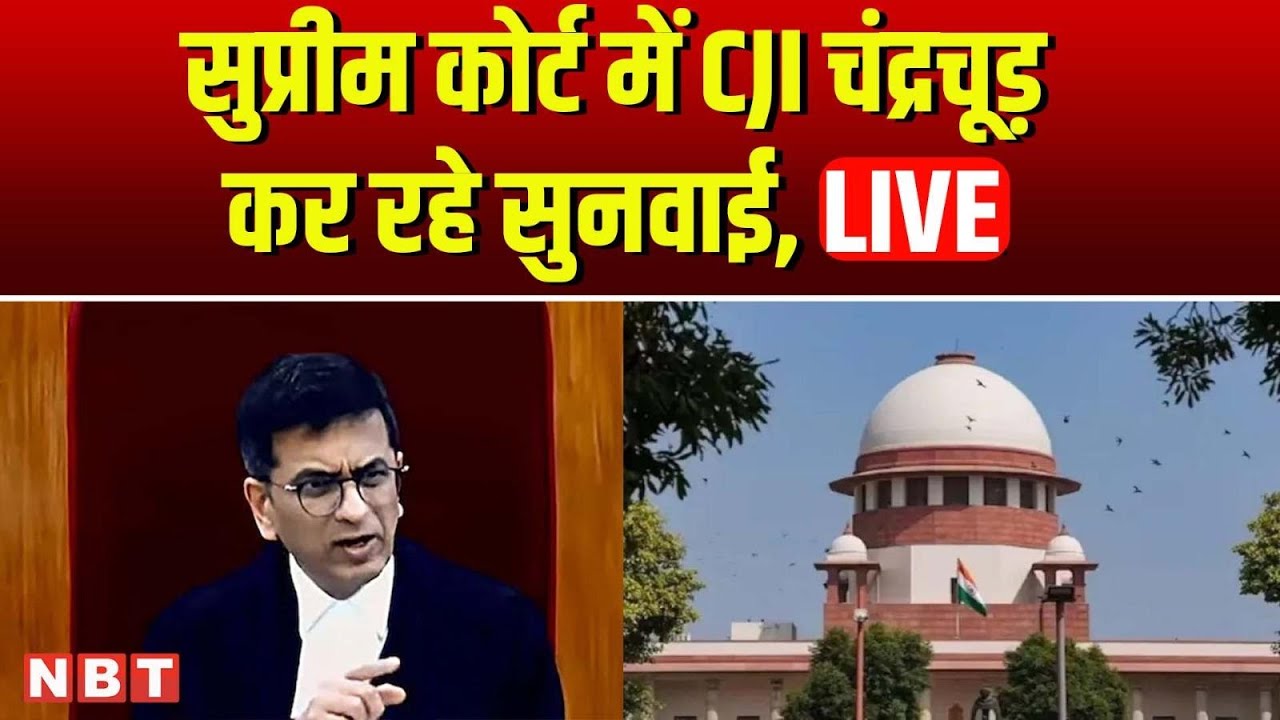 CJI D Y Chandrachud LIVE | Supreme Court Hearing | Supreme Court of ...