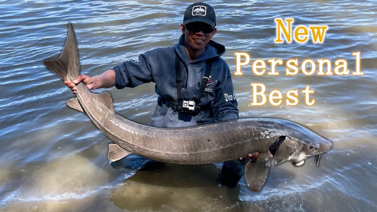 I Caught a New PB Lake Sturgeon fishing the North Saskatchewan River  Edmonton 