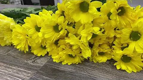 Что символизируют цветы на языке цветов