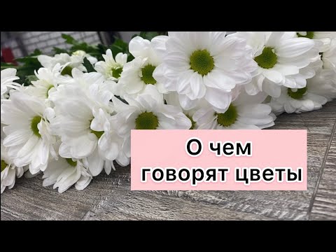 Видео: Значение цвета цветов – узнайте, что символизируют цвета цветов