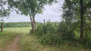 Home and Rural Property for Sale   Near Mount Ida, Arkansas
