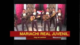 Miniatura de vídeo de "Mariachi Real Juvenil- el reventon"