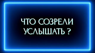 ЧТО СОЗРЕЛИ УСЛЫШАТЬ?