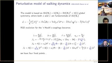 Phase transitions in perturbative walking dynamics - Aleksandr Azatov