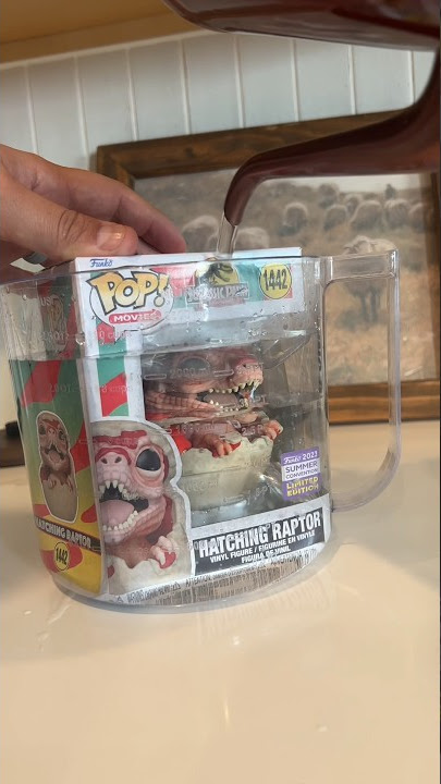 5 Things That Might Damage Your Funko Pops #funko #funkopops #lifehacks