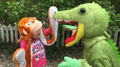 FIVE LITTLE MONKEYS SWINGING IN A TREE, TEASING MR ALLIGATOR BEST Nursery Rhyme! FUNNY!