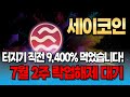[세이 코인] 7월 2주차 락업해제 대기 중🚨 터지기 직전 9,400% 먹었습니다! 지금 안 보면 끝납니다