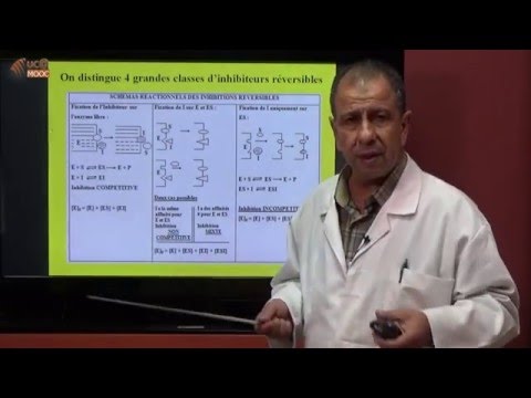 Vidéo: Preuve In Silico Des Interactions De Novo Entre Les Protéines Ribosomales Et Epstein - Barr