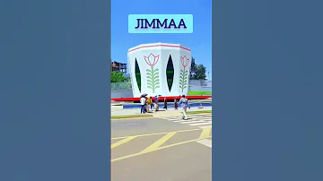 Jimma Jimma Oromia Ethiopia 