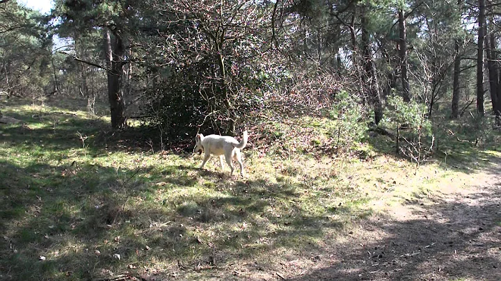 Judith met Laska