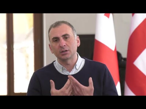 არ მჭირდება წულუკიანის მითითებები. პარლამენტი ეპატარავება, უნდა, რაღაცის მინისტრი იყოს - ელისაშვილი