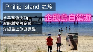 120 澳洲自駕遊之 企鵝島 分享本地人旅遊小Tips (中文字幕) Phillip Island [土澳TV]